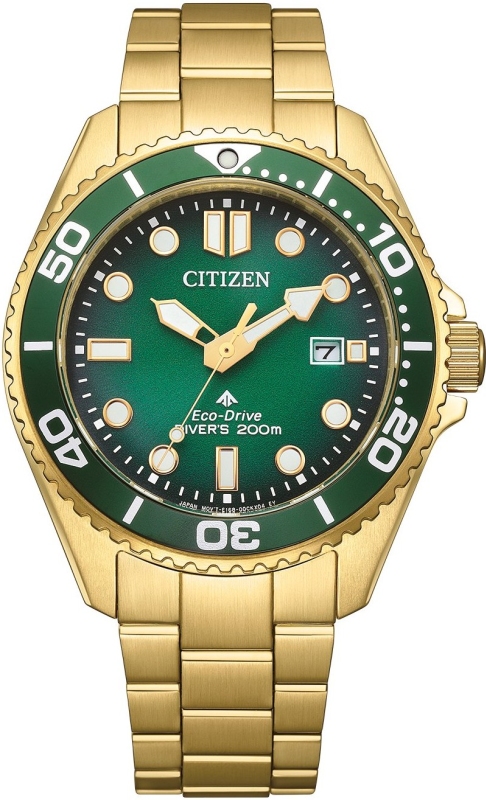 Hodinky CITIZEN BN0262-59W