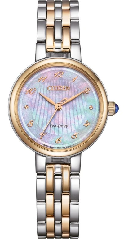 Hodinky CITIZEN EM0996-84Y