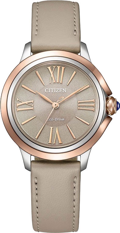 Hodinky CITIZEN EM1166-01Z