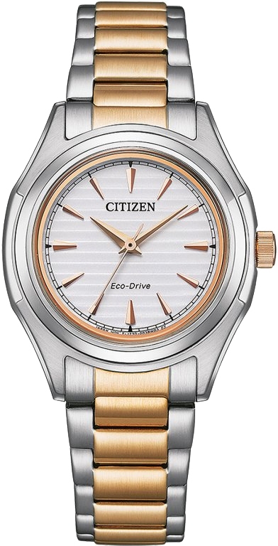 Hodinky CITIZEN FE2116-85A