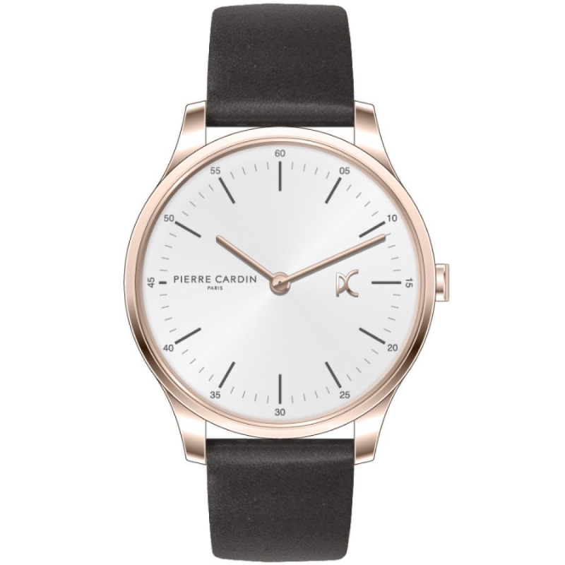 Hodinky Pierre Cardin CBA.4006