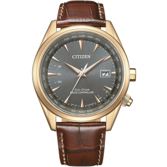 Hodinky CITIZEN CB0273-11H