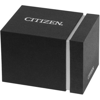 Hodinky CITIZEN AR3120-16A