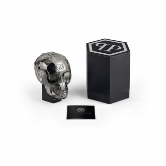 Hodinky Philipp Plein PSBBA0223