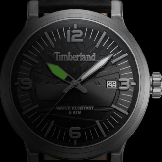 Hodinky Timberland TDWGN0029103