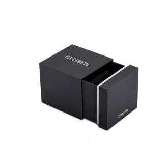 Hodinky CITIZEN CB0250-84L