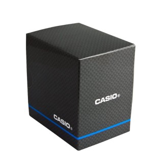 Hodinky CASIO LCW-M170D-1AER