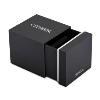 Hodinky Citizen EW2601-81M