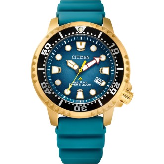 Hodinky Citizen BN0162-02X